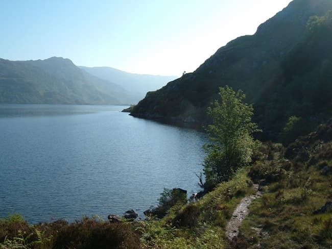 Morag of Loch Morar. The Other Scottish Loch Monster