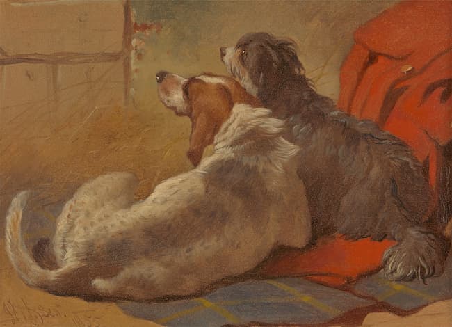 1885 painting of Bearded Collie and Hound. Public domain image. 1885 painting of Bearded Collie and Hound. Public domain image.