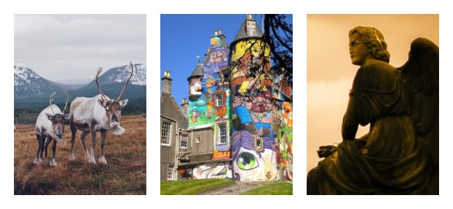 hidden_gems_collage_c