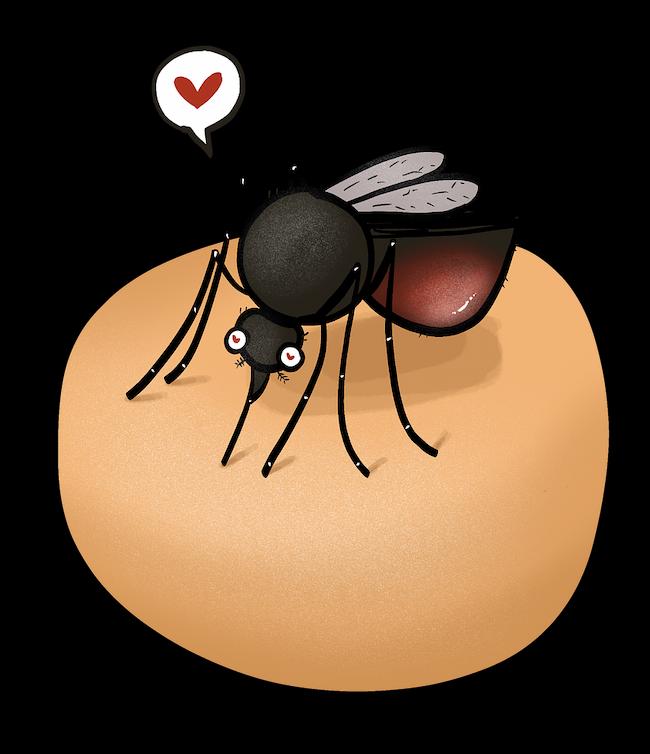 Midges in Scotland What You Need to Know